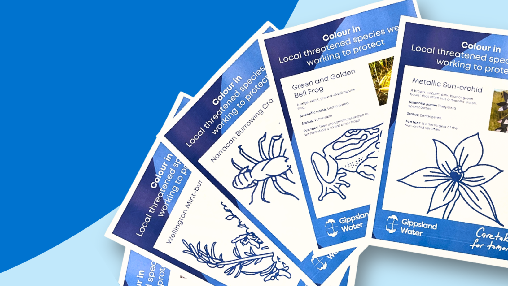 Colouring activity sheets against blue background