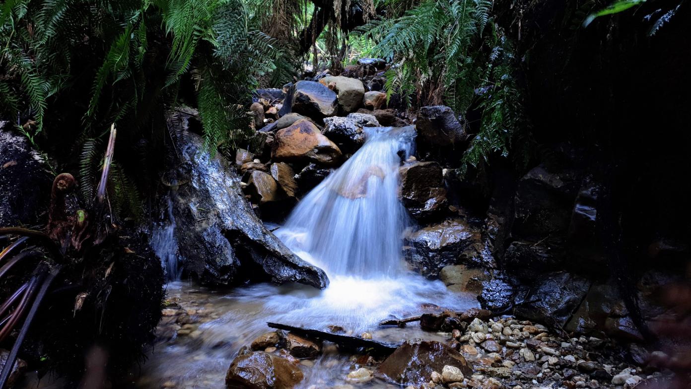 Sunny Creek cascades