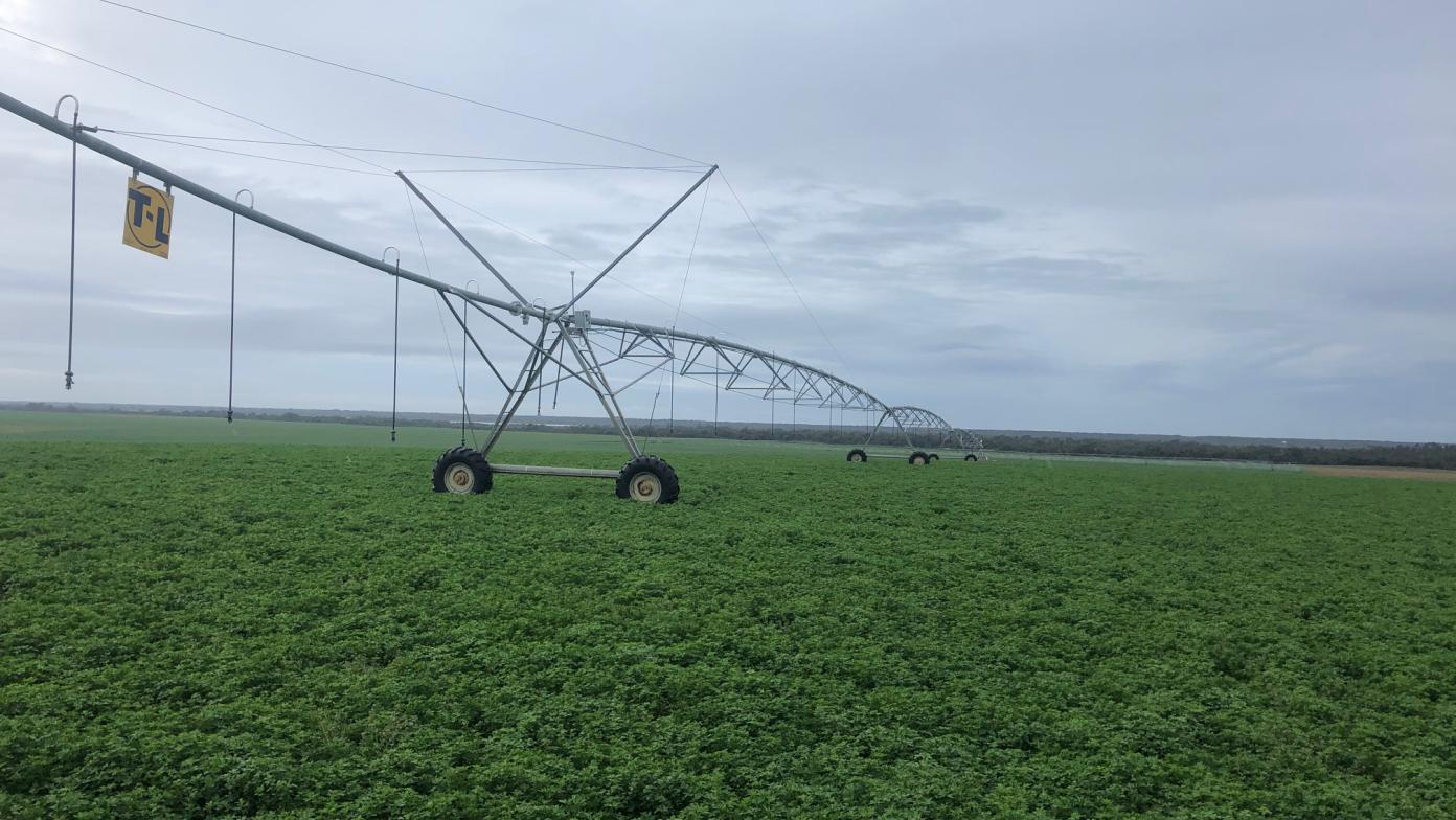 lucerne pivot