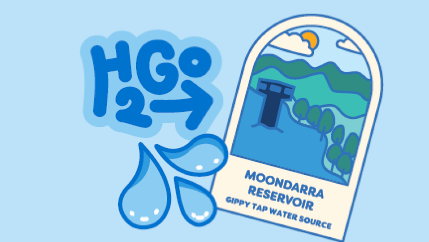 Cartoon images of Moondarra Reservoir and water splash.