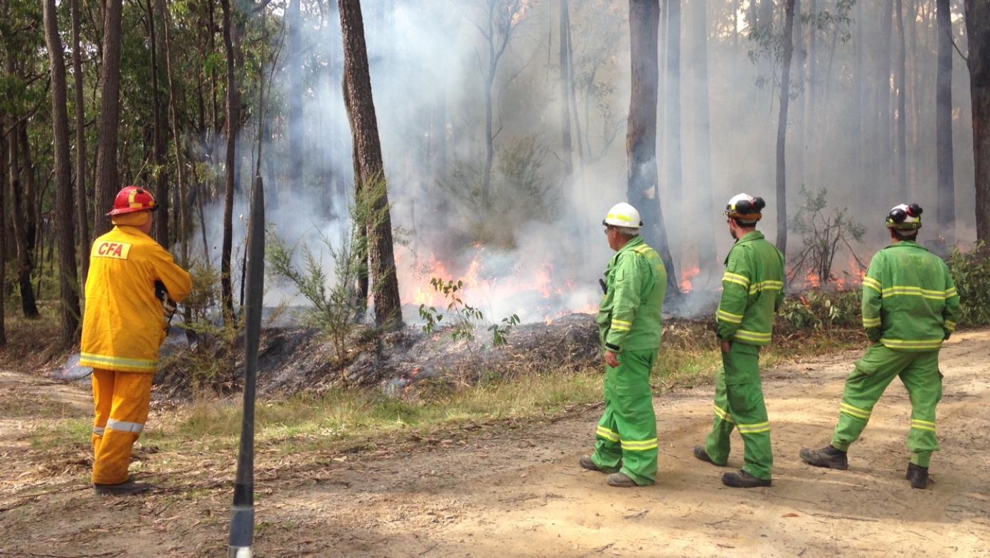 Firefighters in the bush put out a fire. 