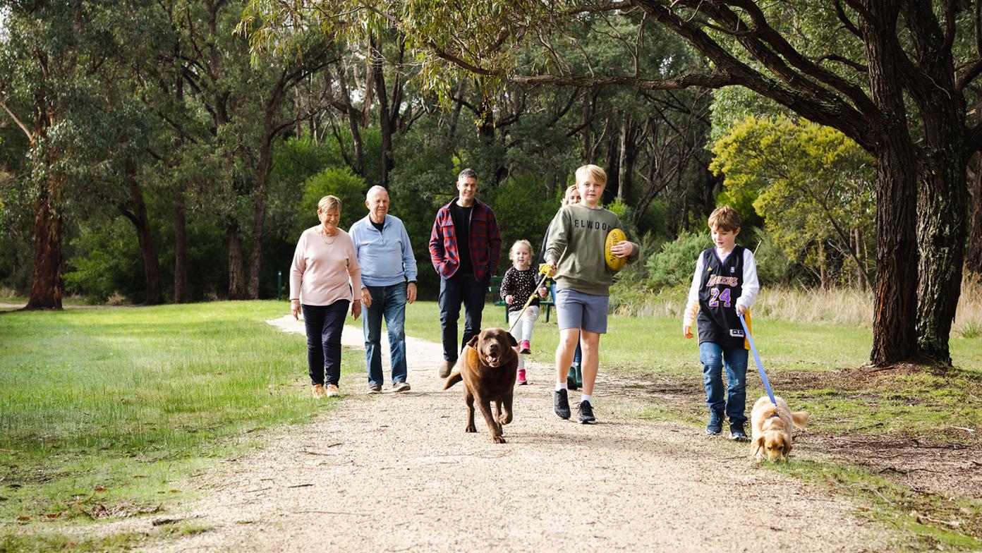 Family walking through a park with their two dogs.
