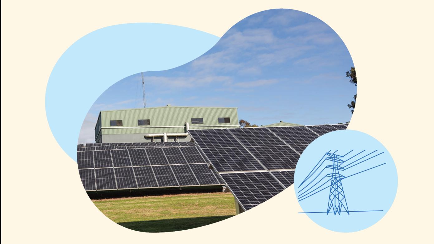 Solar panels powering our Traralgon water treatment plant.