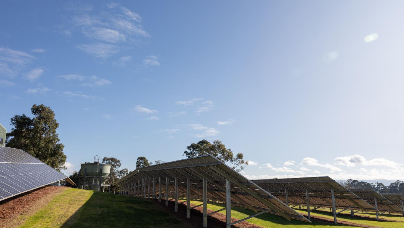 Solar panels in a field