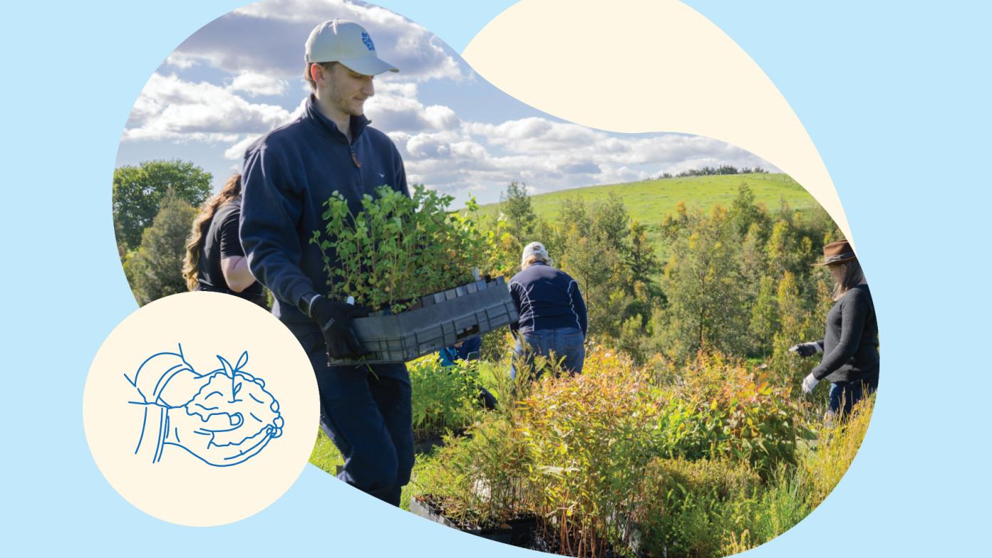 A man carries trees in a container