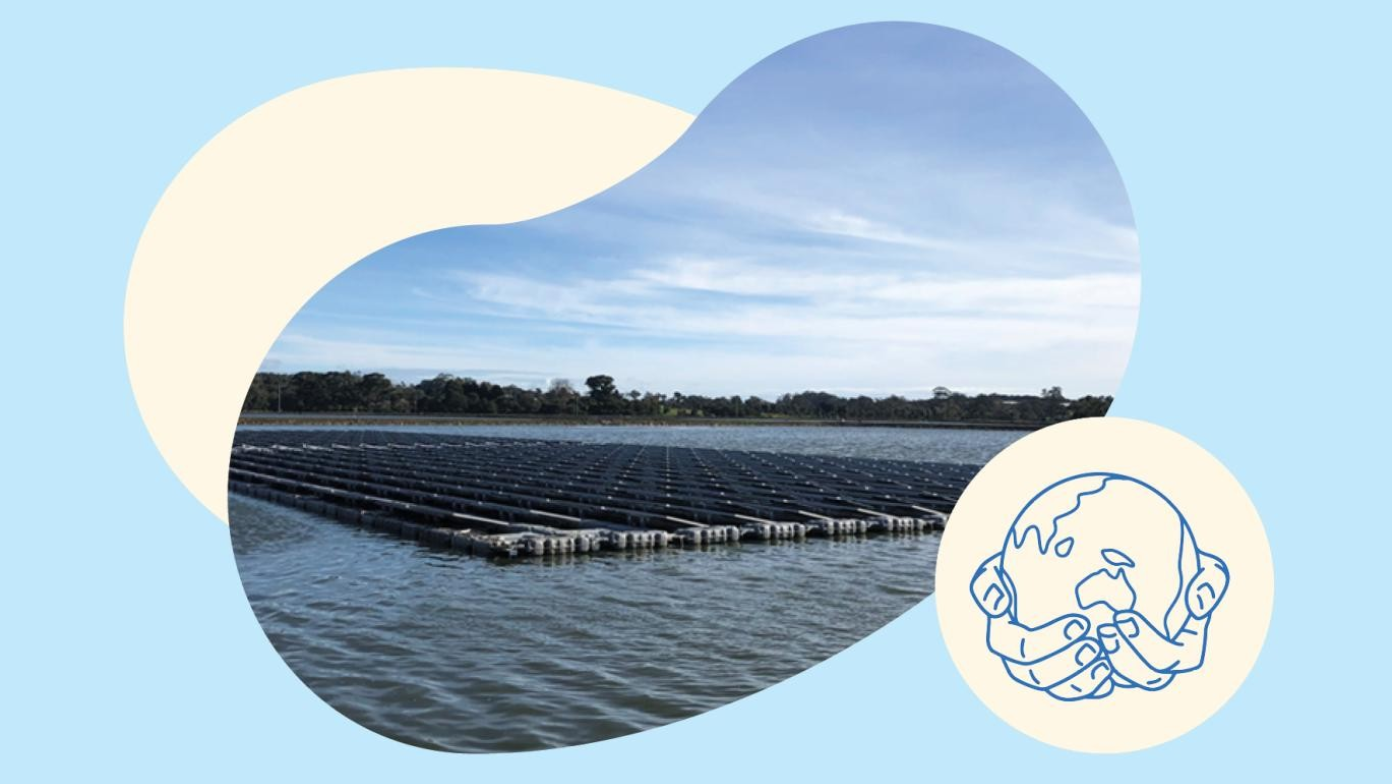 Solar panels in the sun