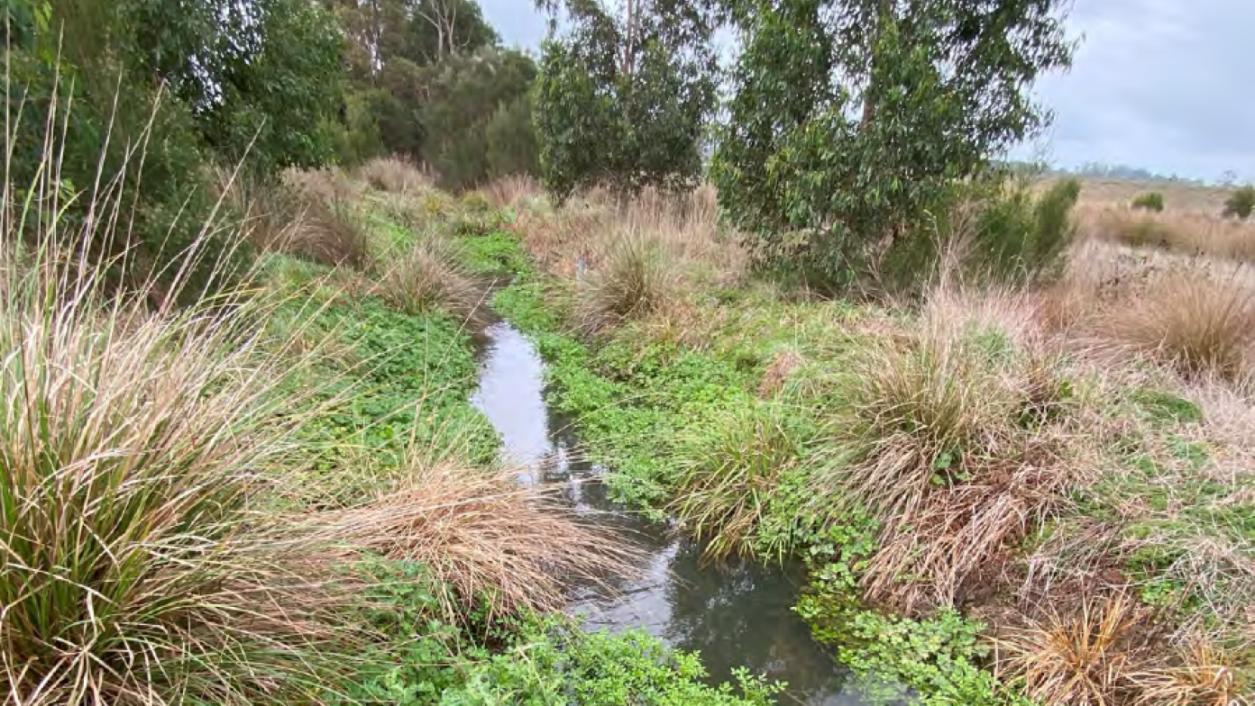 Shillinglaw Creek Drouin