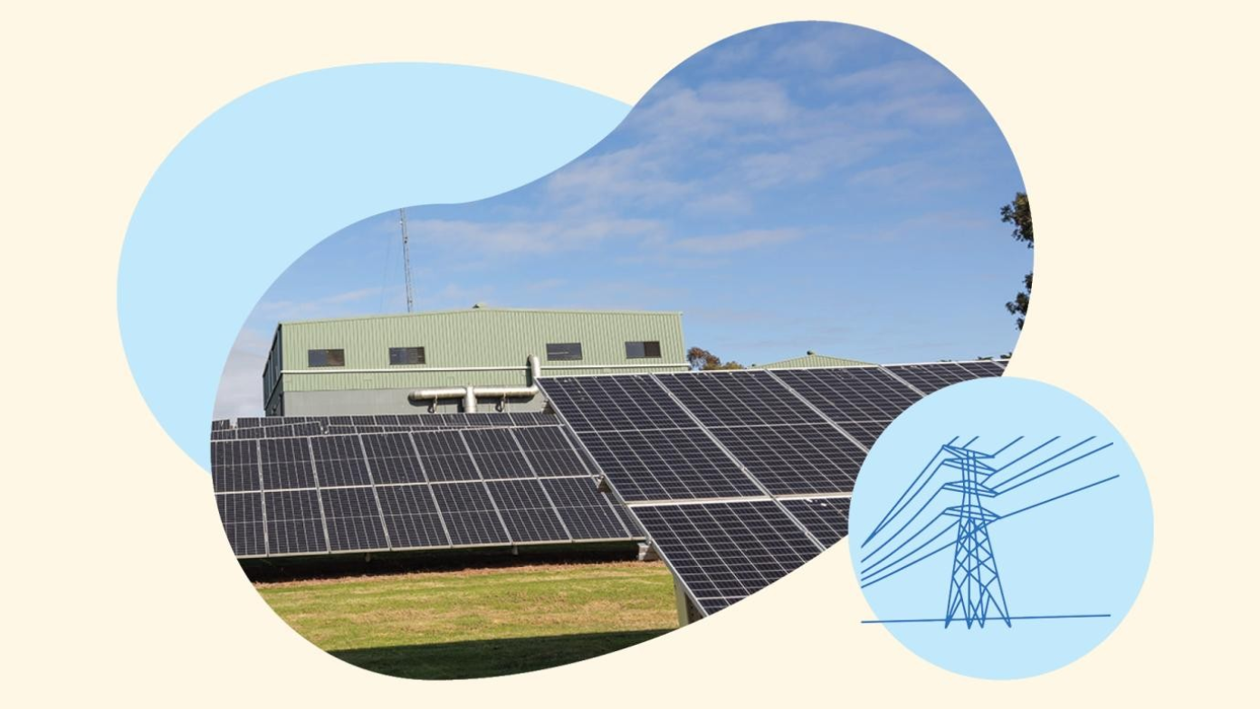 Solar panels in the sun