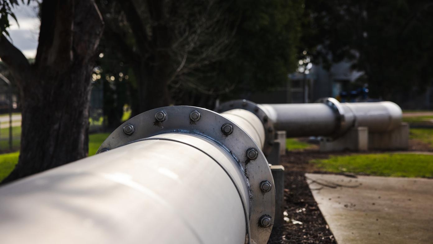 large pipe curving surrounded by grass and trees