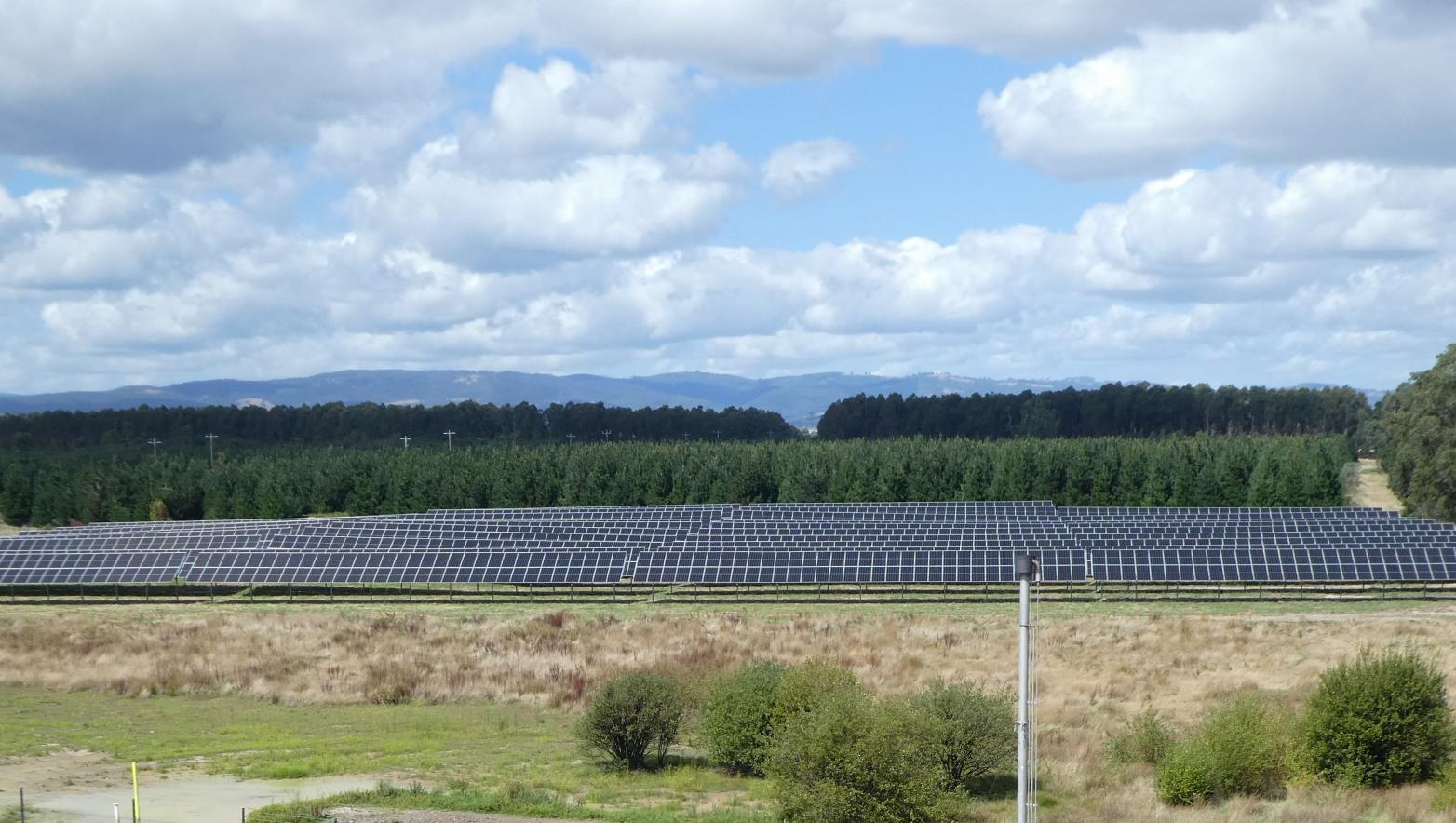 Large solar array at the Gippsland Water Factory