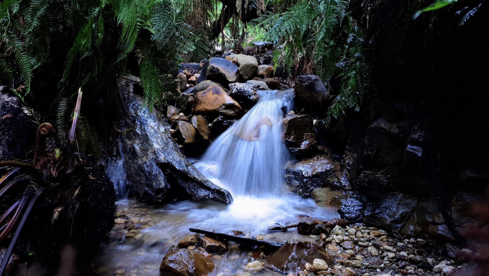 Sunny Creek cascades