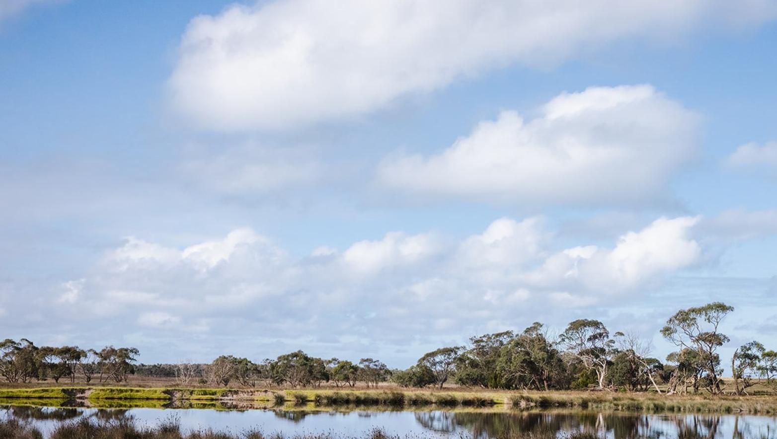 A photo looking across a lagoon and into a scrubby area at Dutson Downs
