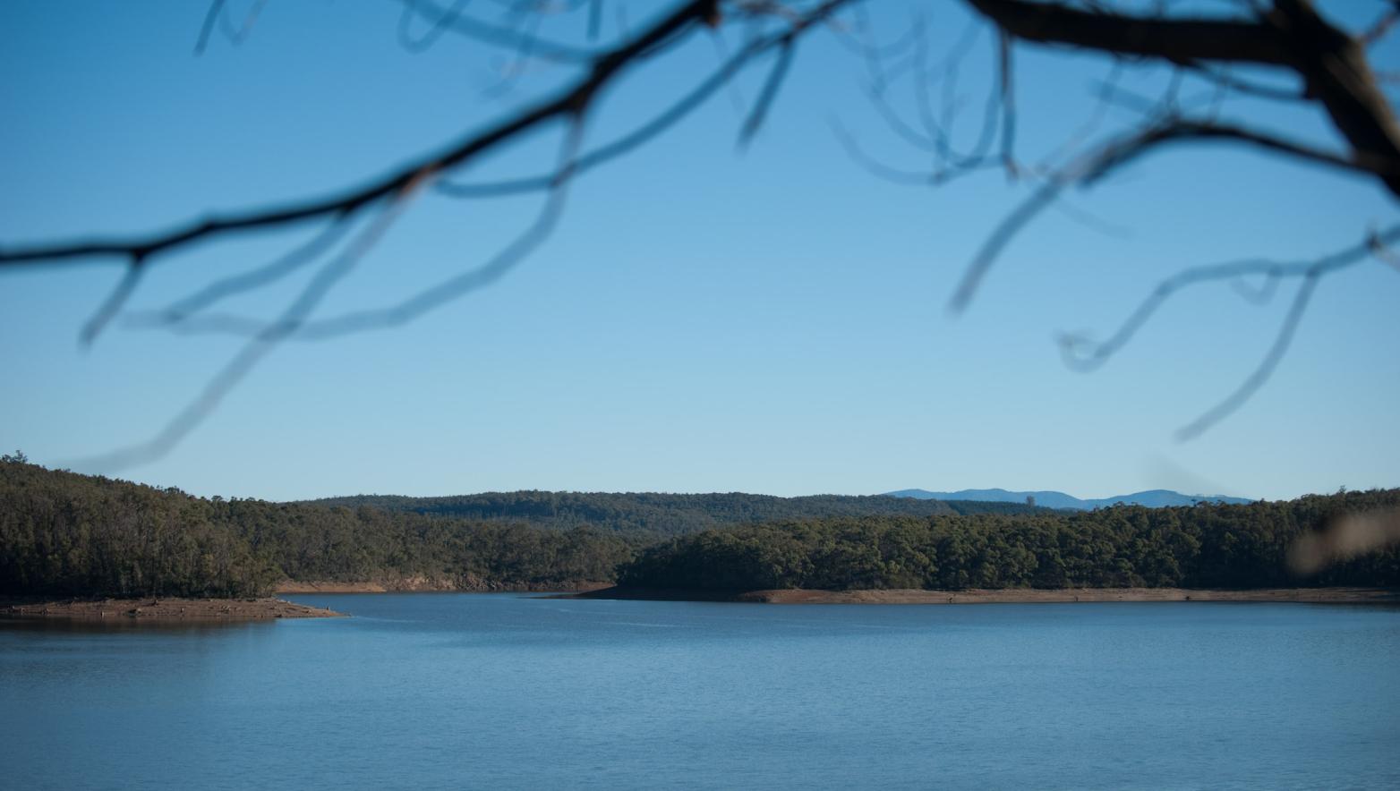 Body of water with branch close by