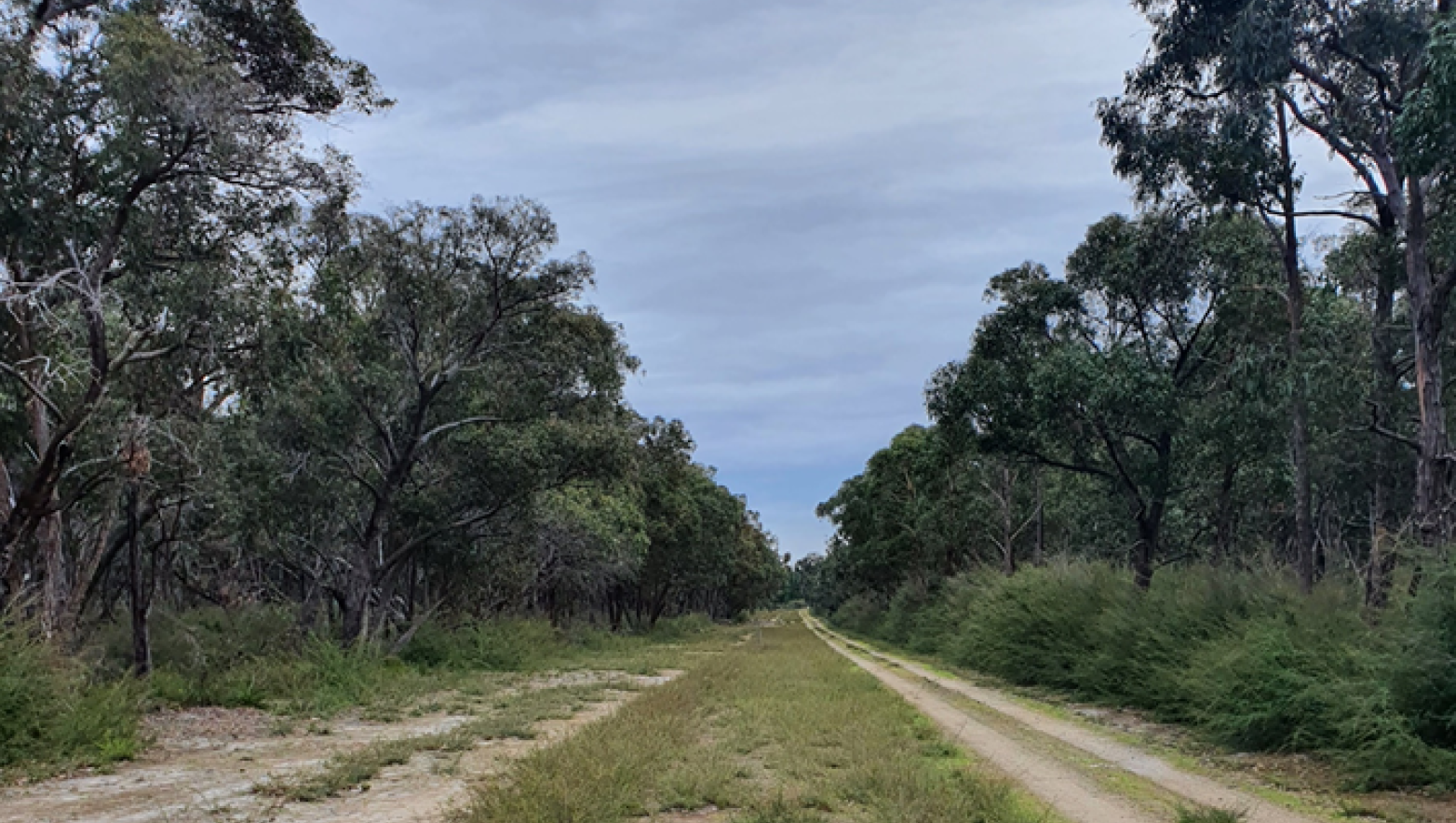 SWOP pipeline corridor.