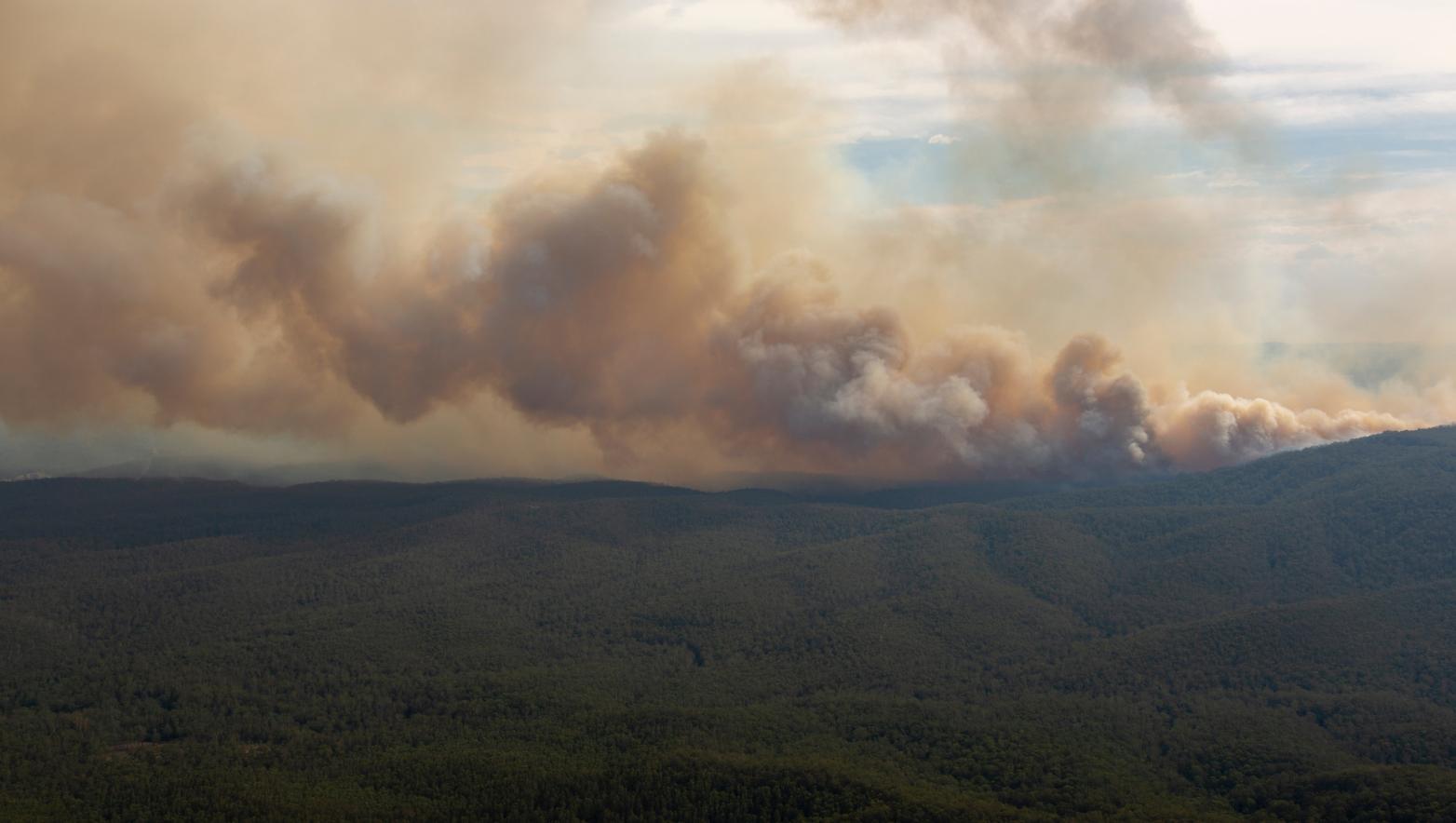 Drone shot of bushfire smoke