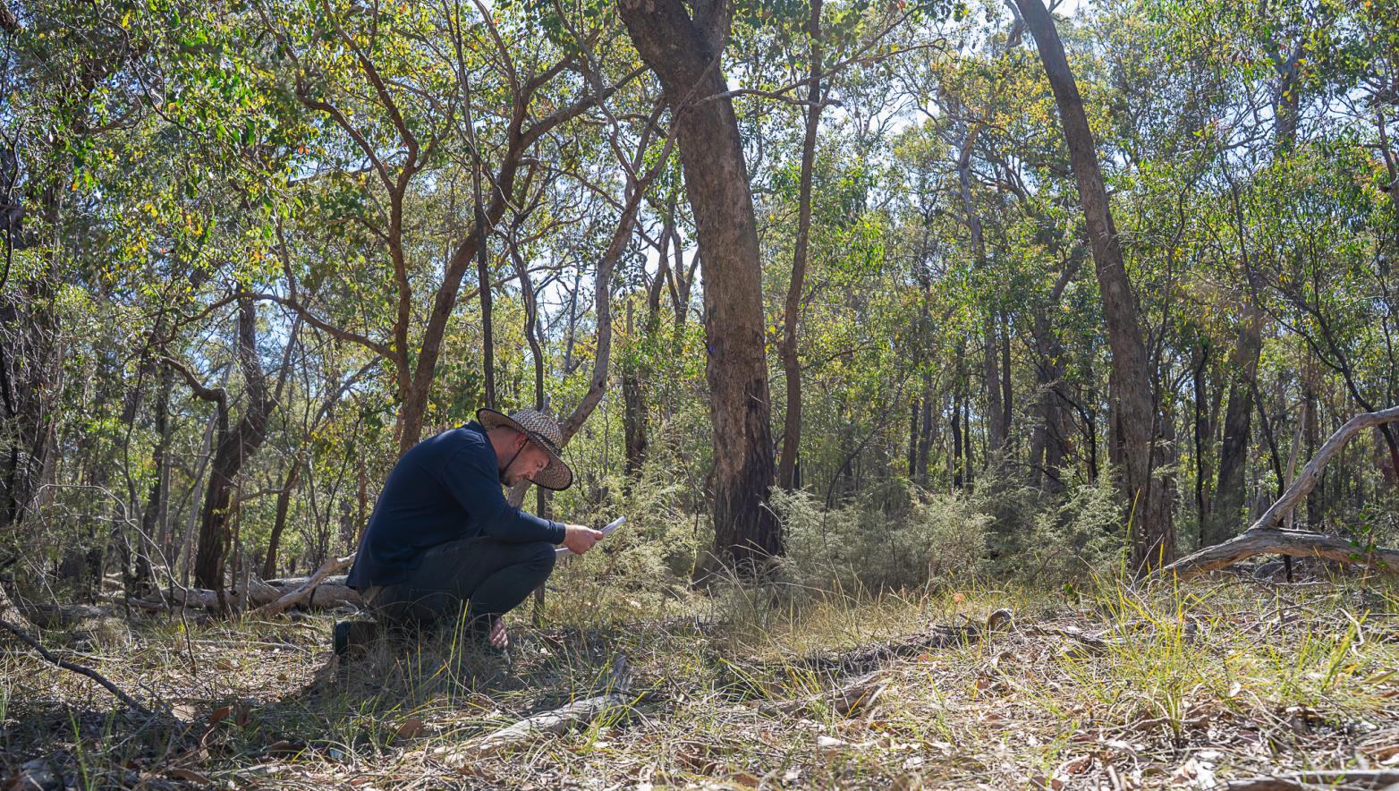 a man crouching looking at paperwork in a forest