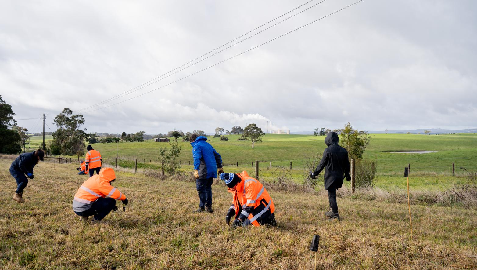 Group of people planting in a field.