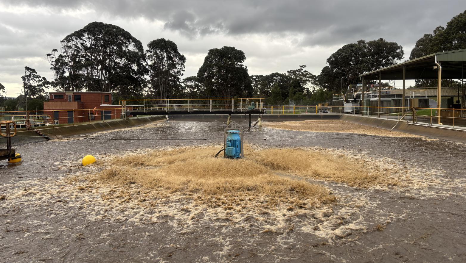 Morwell wastewater treatment plant south basin