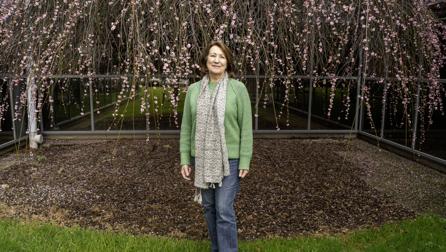 Di Wilkinson