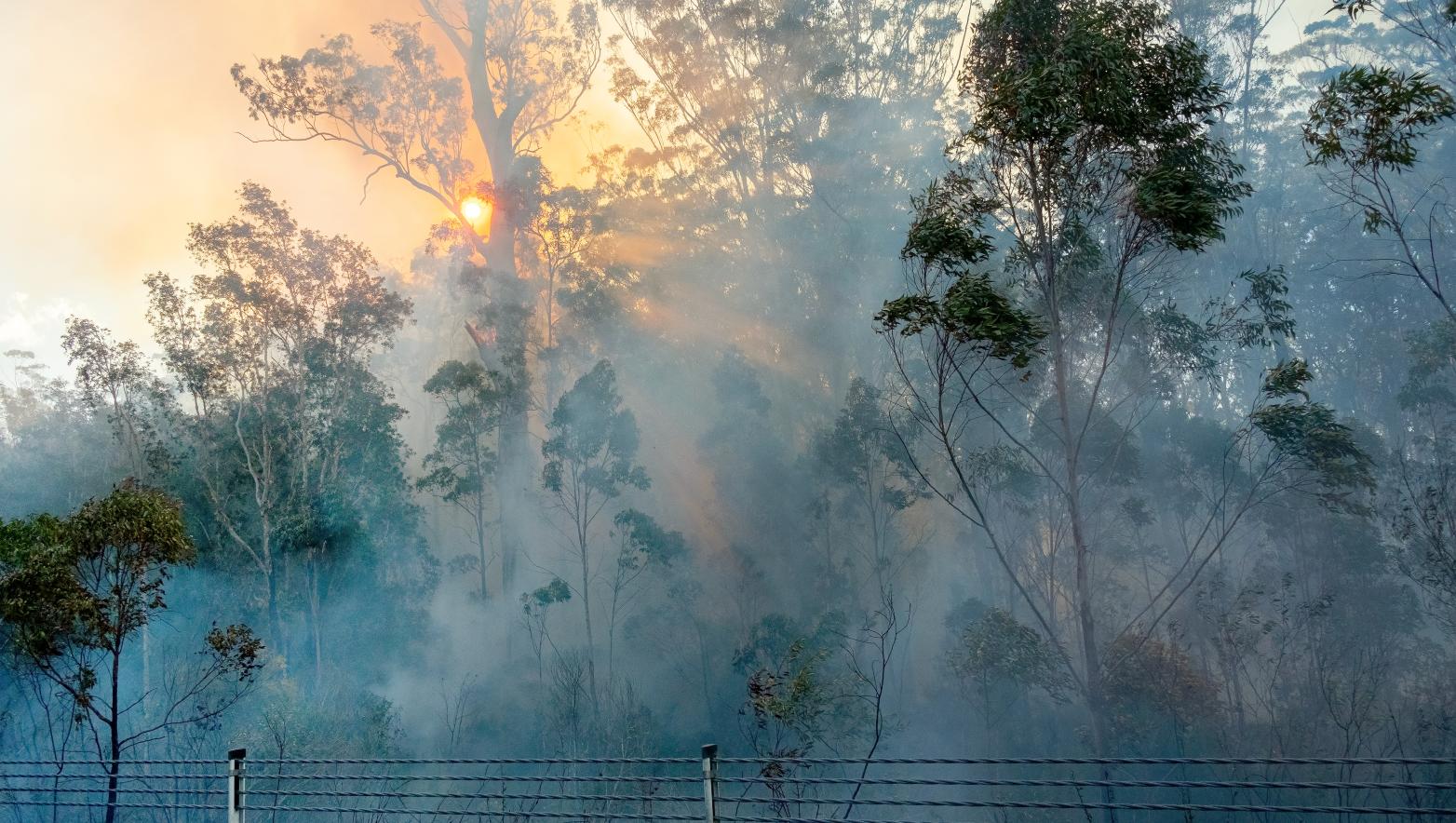 Fire Danger Period arrives